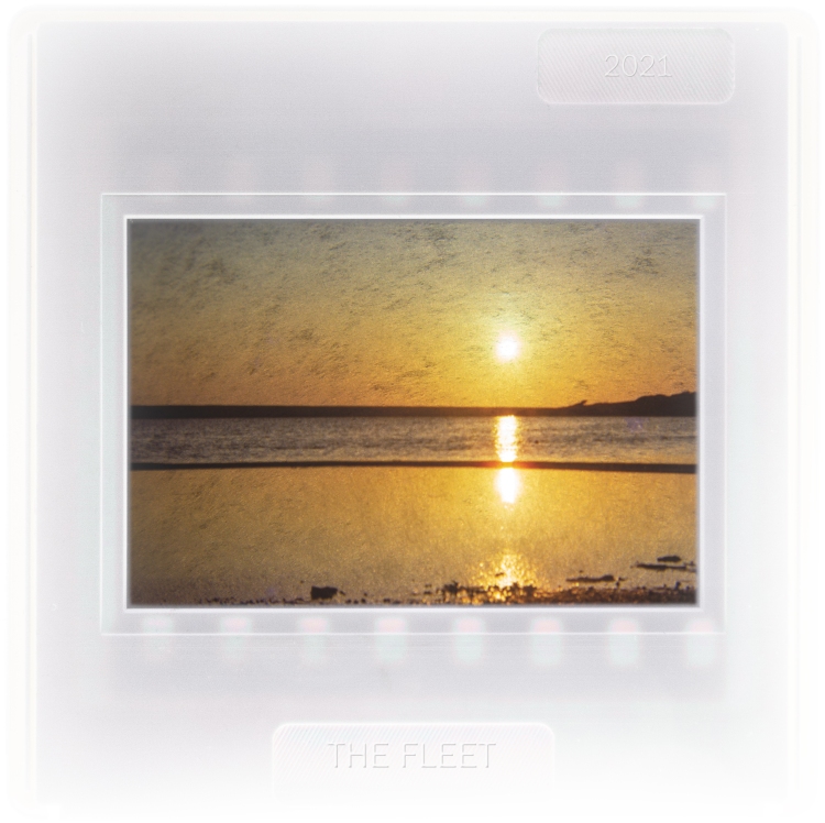 The Fleet at Sunset